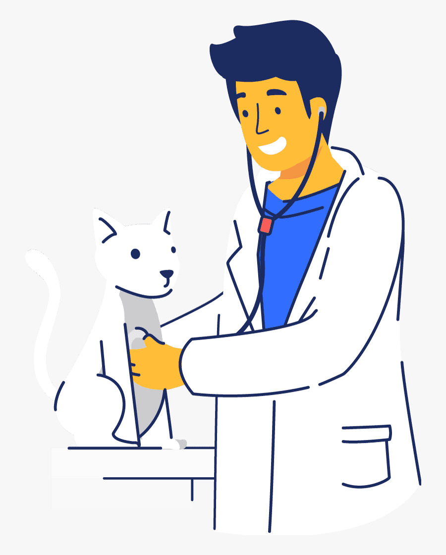 Veterinarian Clip Art Cat Transparent, Transparent Clipart