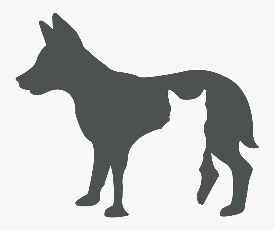 Yzerfontein Veterinary Clinic Vetdirectory - Cat, Transparent Clipart