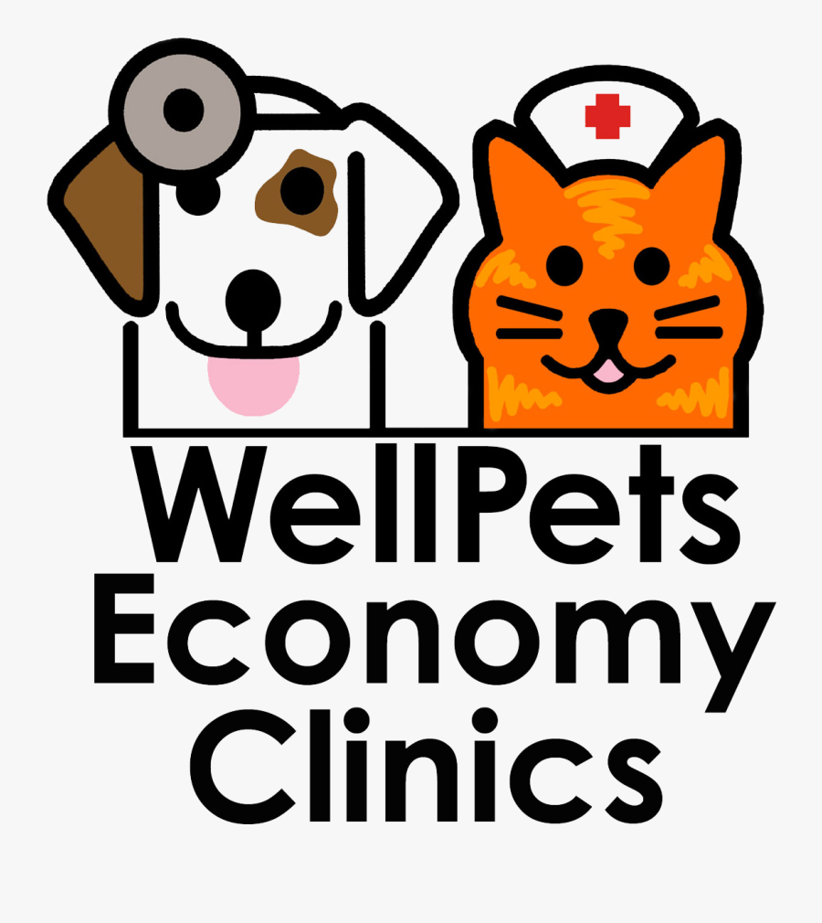 Veterinarian Clipart Animal Welfare - Cartoon, Transparent Clipart