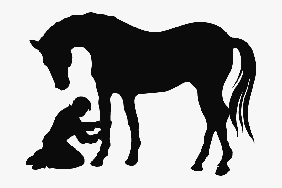 Stallion, Transparent Clipart