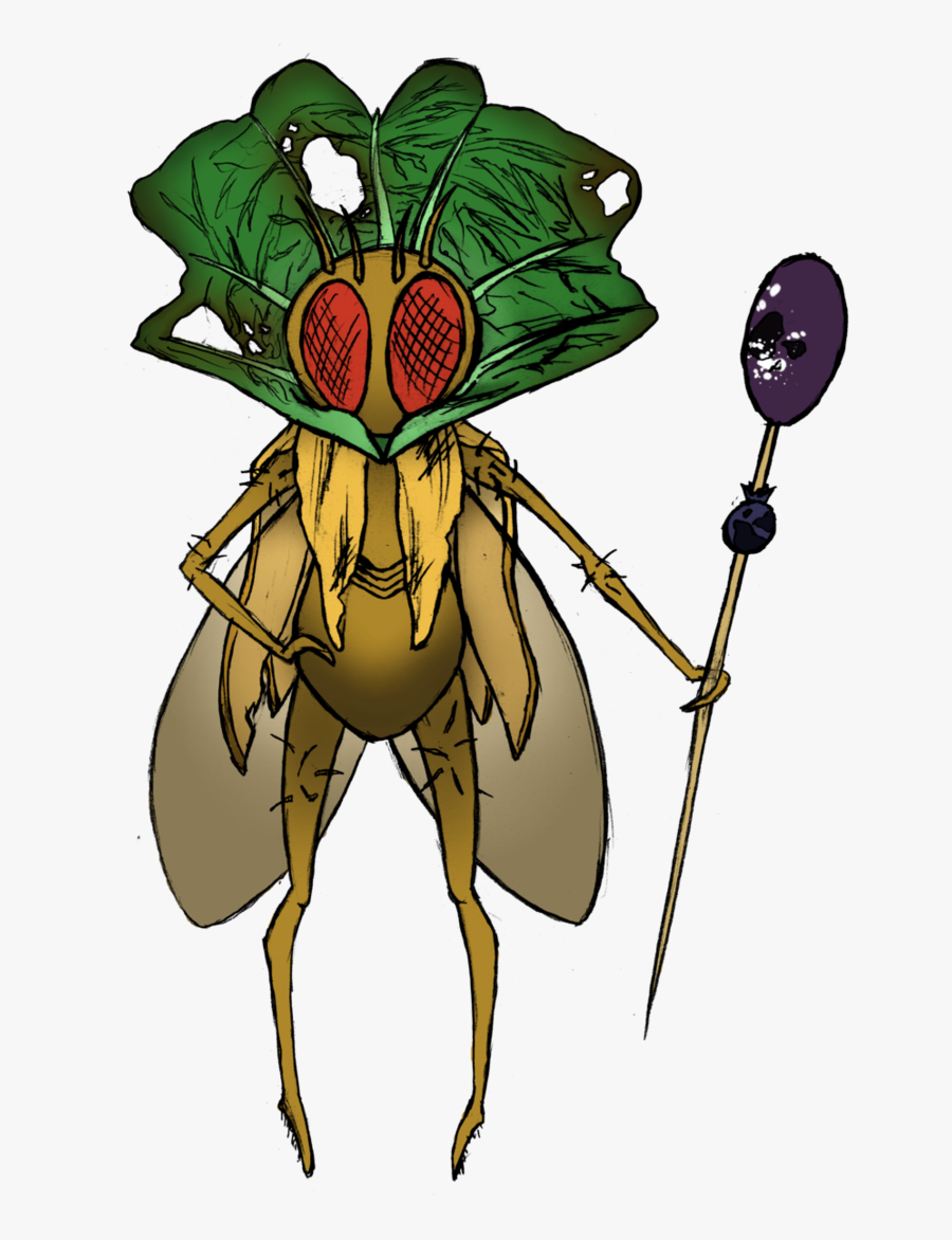 Drawing Insect Fruit Fly Png Black And White Library - Does A Queen Fly Look Like, Transparent Clipart