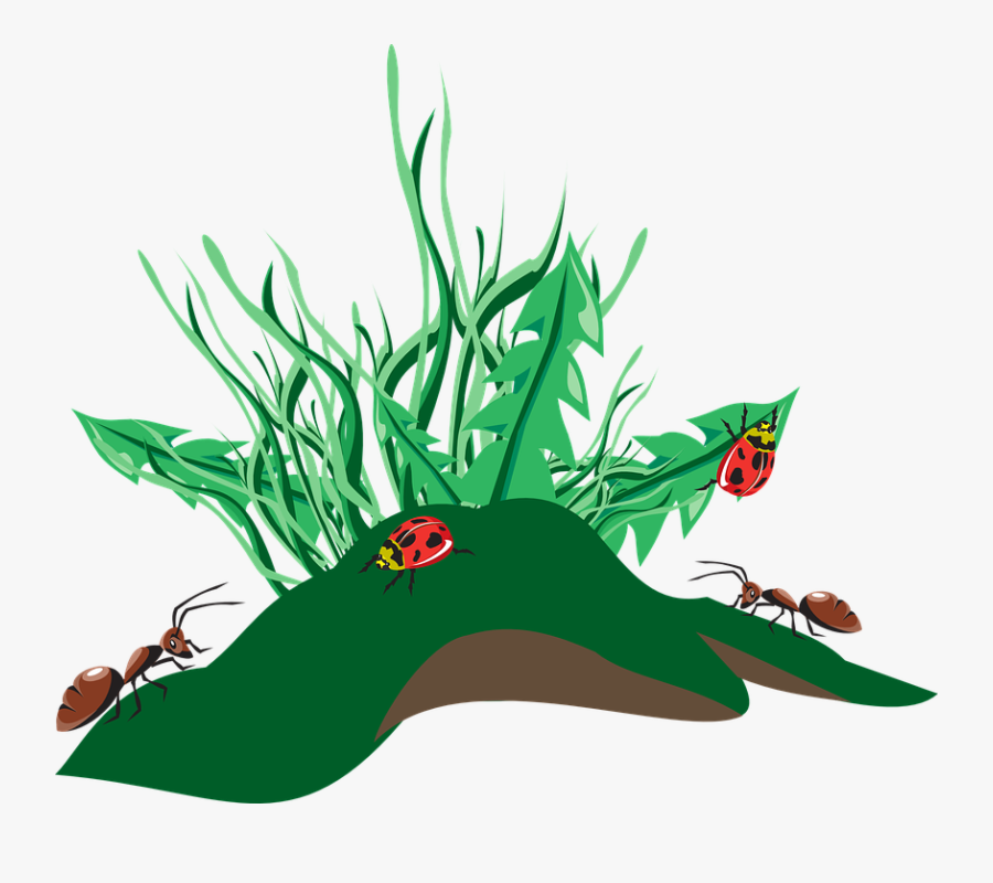 Ants Clip Art, Transparent Clipart