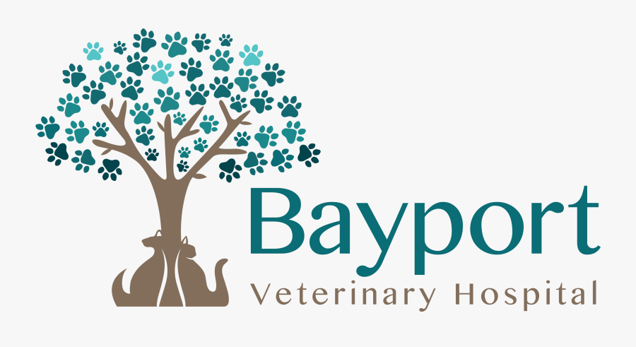 Bayport Veterinary In Ny - Tree With Dog Paws, Transparent Clipart