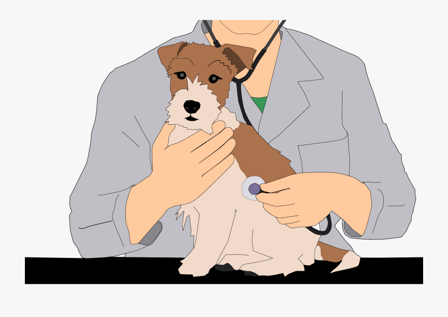 Veterinarian - Veterinário Ilustração, Transparent Clipart
