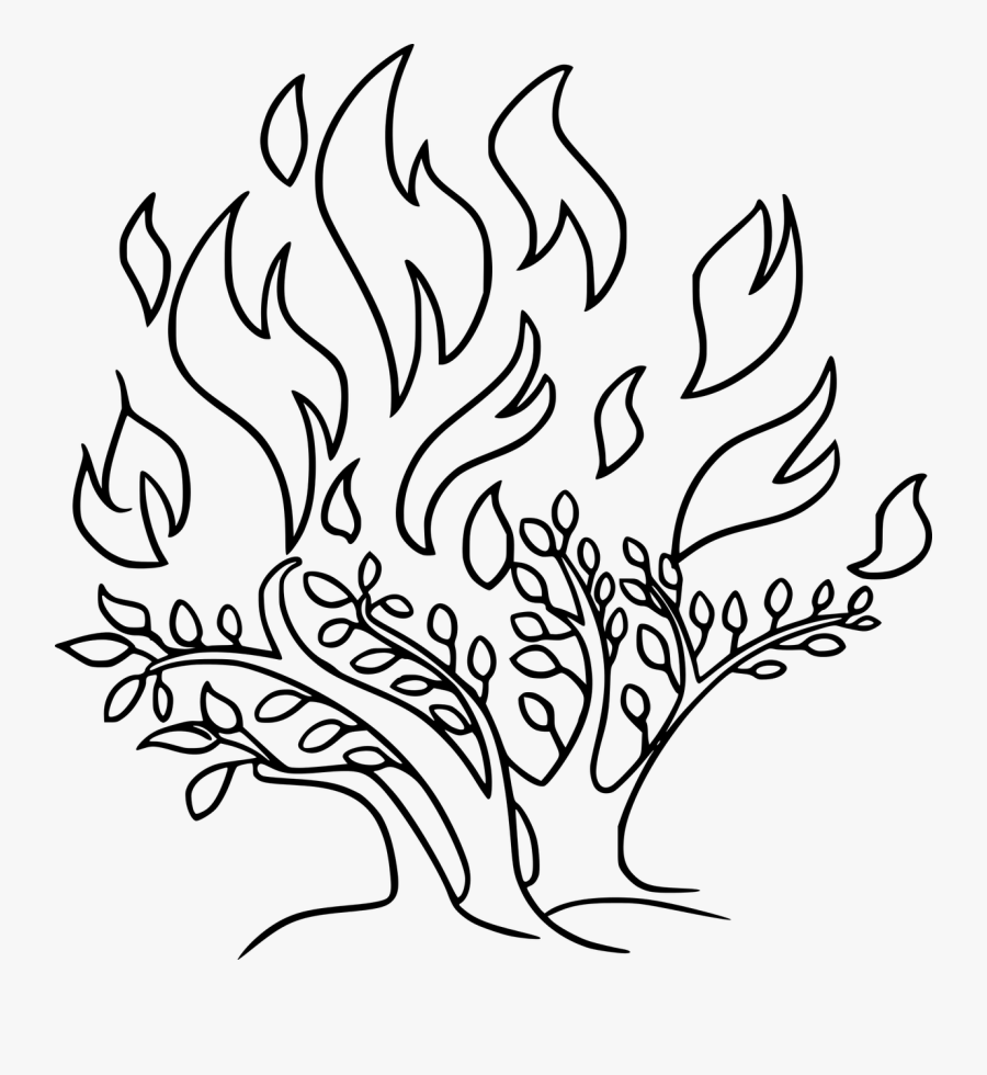 Monochrome - Burning Bush Bible Drawing, Transparent Clipart
