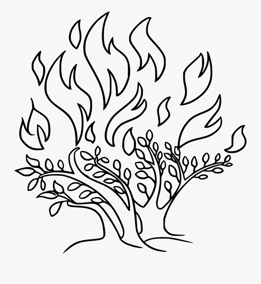 Monochrome - Burning Bush Bible Drawing , Free Transparent Clipart ...