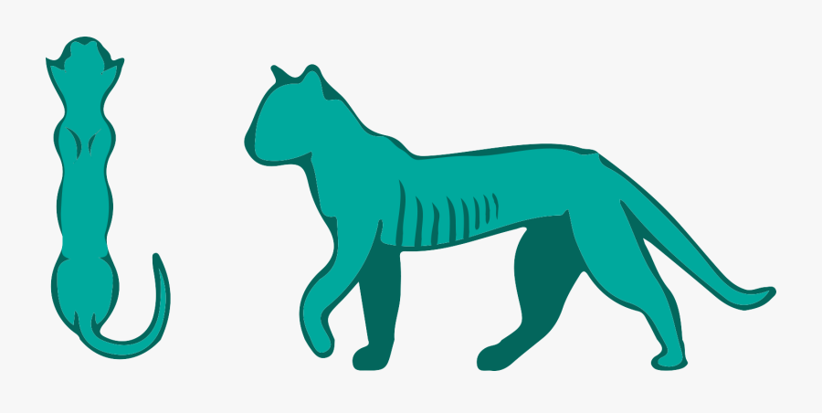 Transparent Nutrition™ Pet Diets, Transparent Clipart