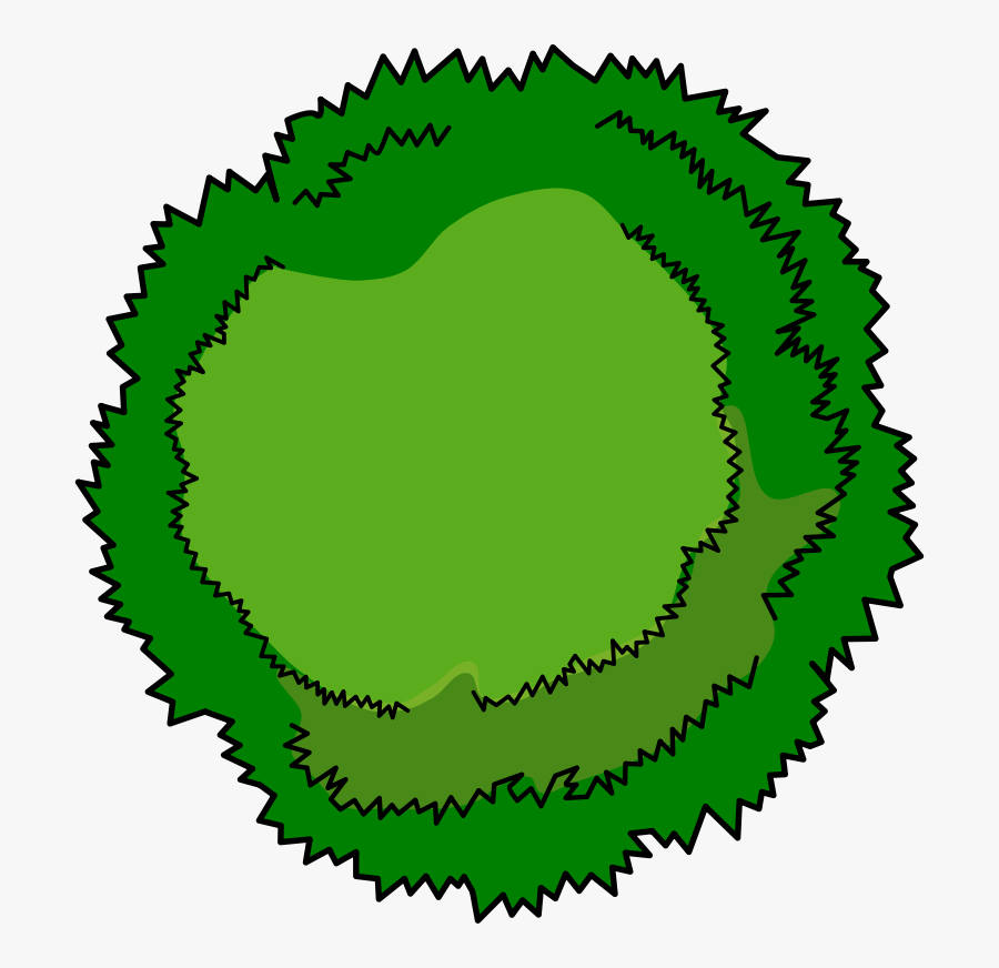 Bushes Clipart Tree Top - Tree Birds Eye View Clipart, Transparent Clipart