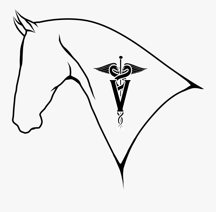 Equine Veterinarian Clipart, Transparent Clipart