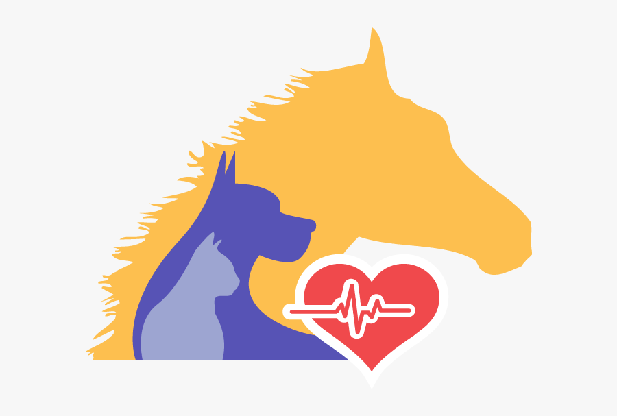 24 Hour Emergency Vet Open Public Holidays Contact - Cat Yawns, Transparent Clipart