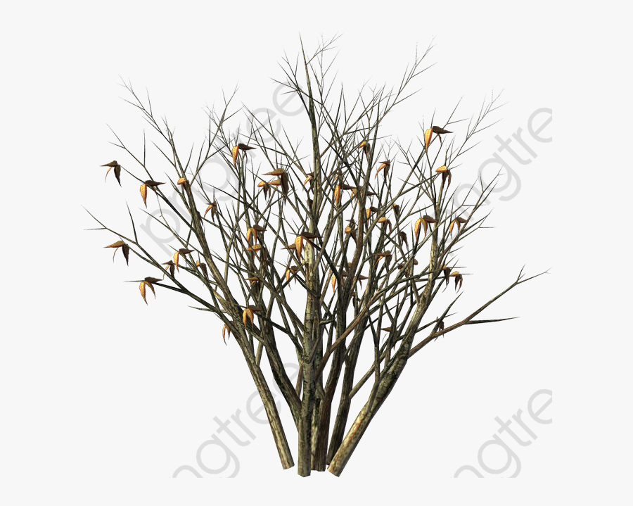 Withered Bushes - Png Withered Bush, Transparent Clipart