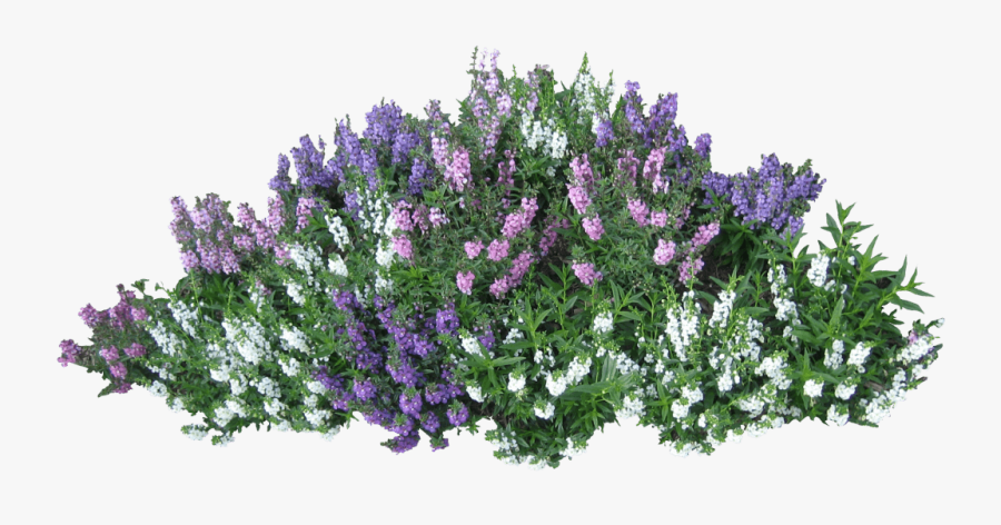 Download Bush Free Png Photo Images And Clipart - Transparent Flower Bush Png, Transparent Clipart