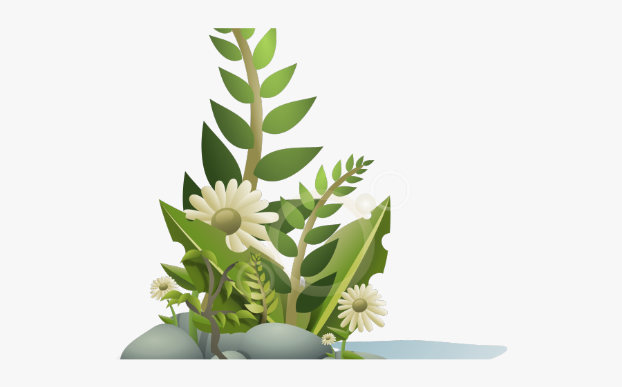 Plants Clipart, Transparent Clipart