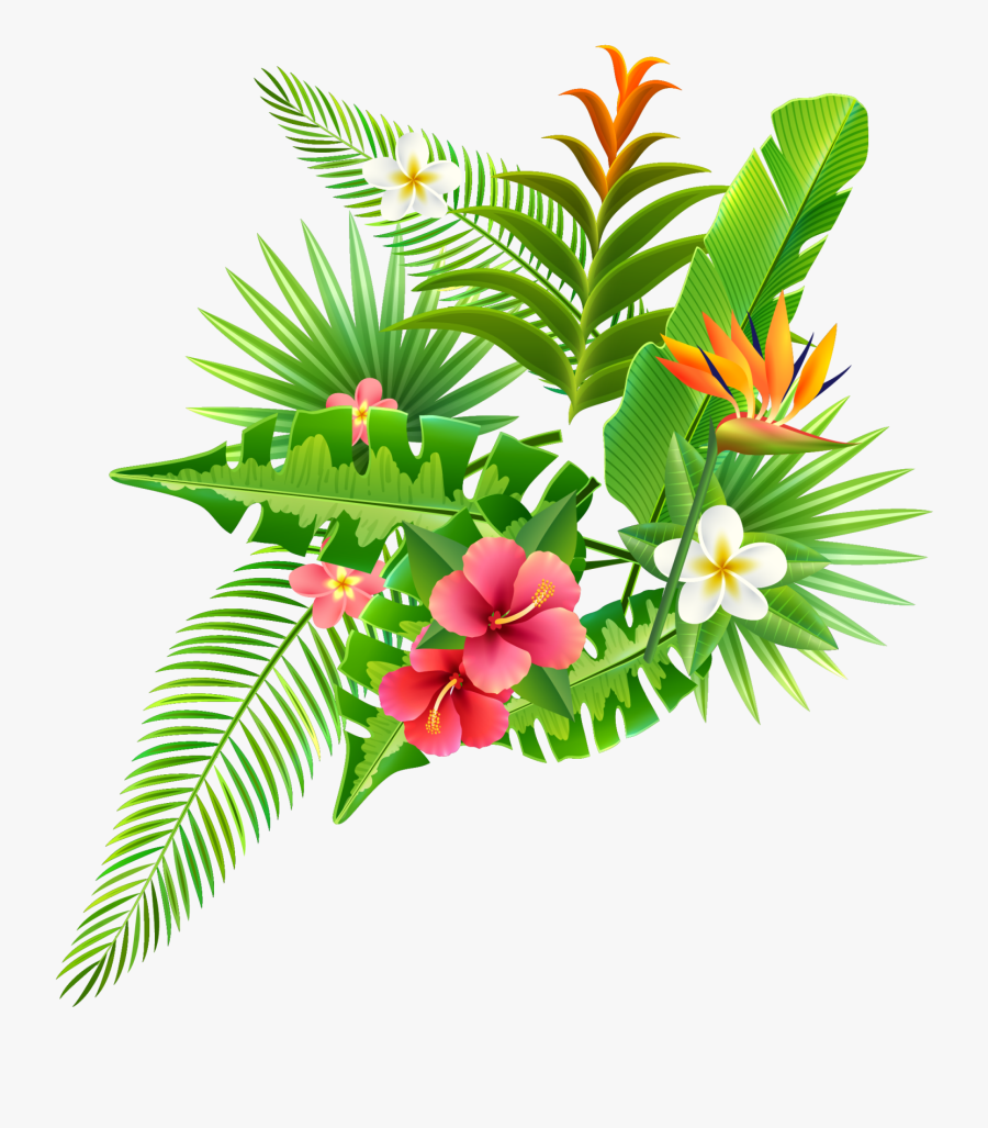Strelitzia Reginae Parrot Flower, Transparent Clipart
