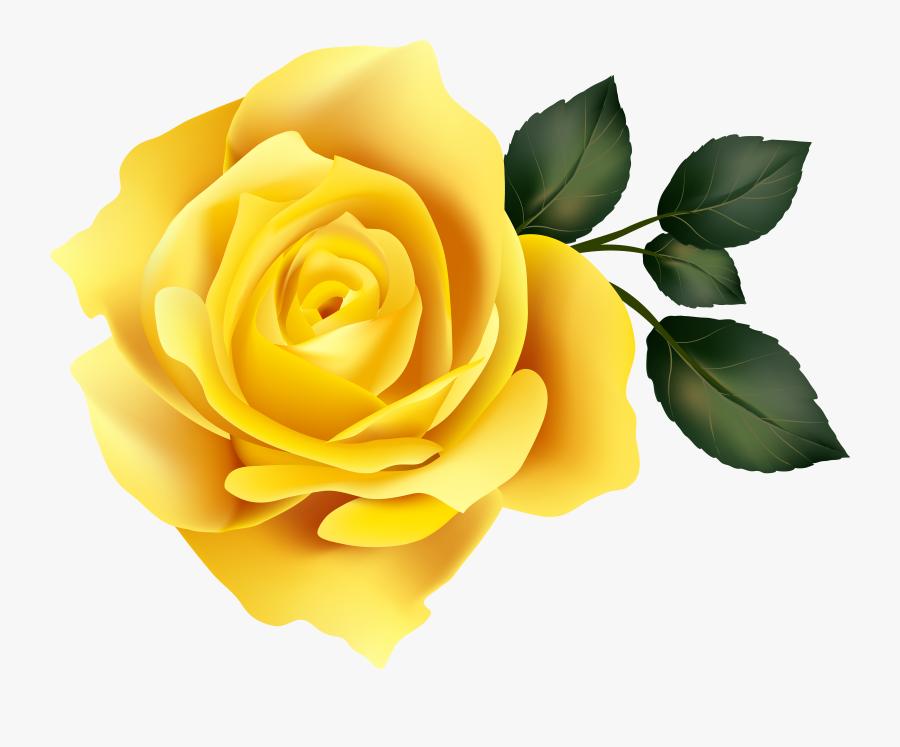 Bush Clipart Yellow Rose, Transparent Clipart