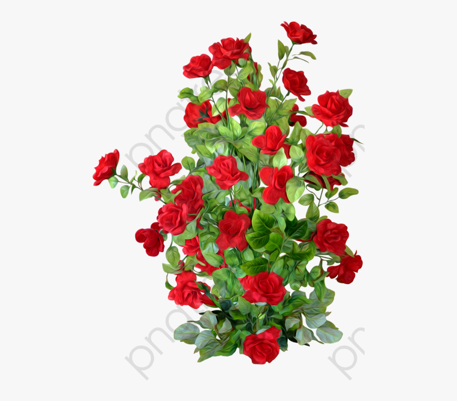 Red Rose Bushes - Flowers Bush Png, Transparent Clipart