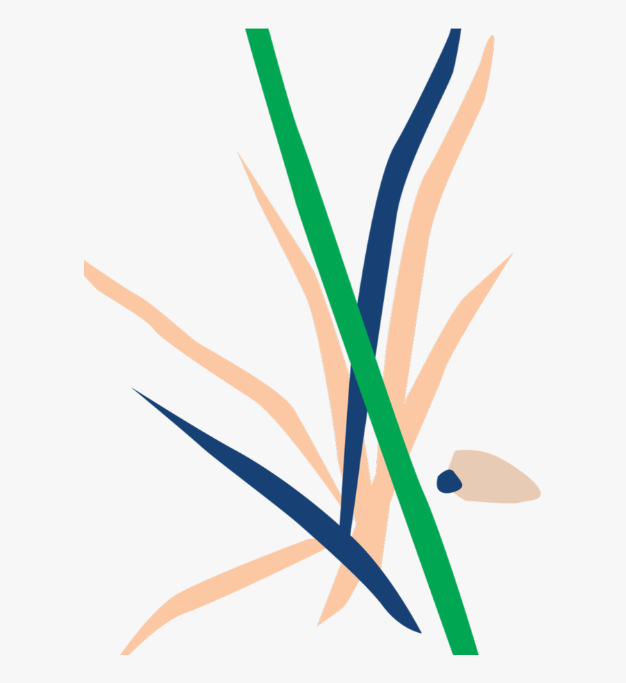 Bush Clipart Potted, Transparent Clipart