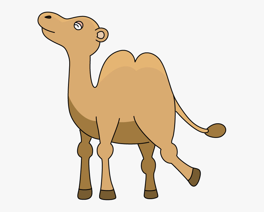 Hump Day Clip Art - Arabian Camel, Transparent Clipart