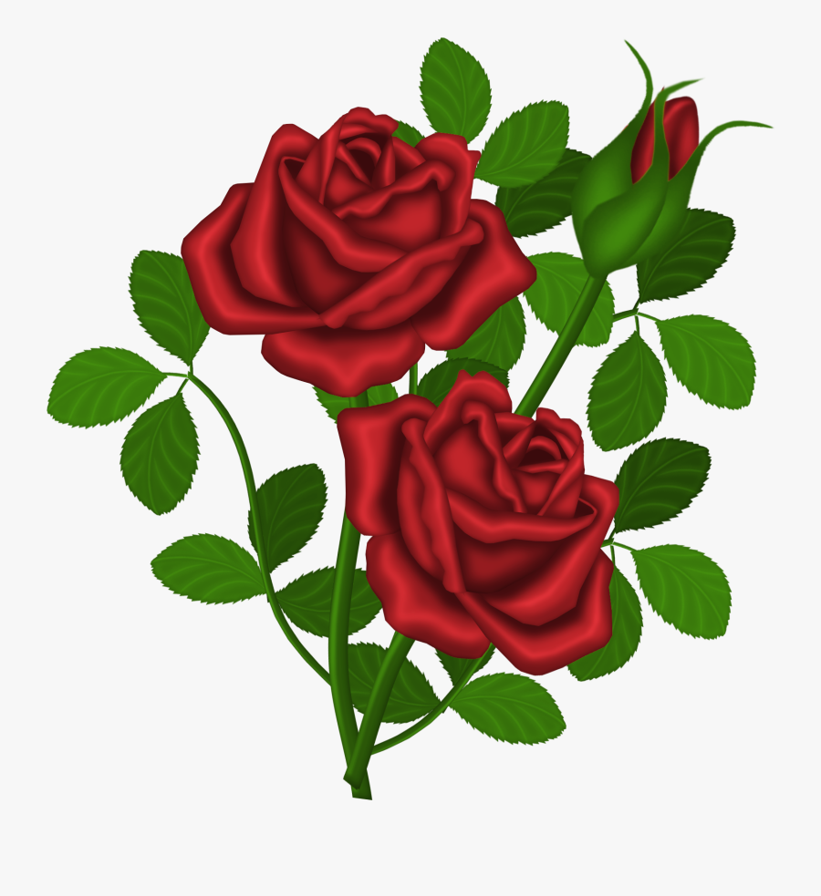 Rose Bush Clipart Dozen Red Roses - Rose Plant Clip Art, Transparent Clipart