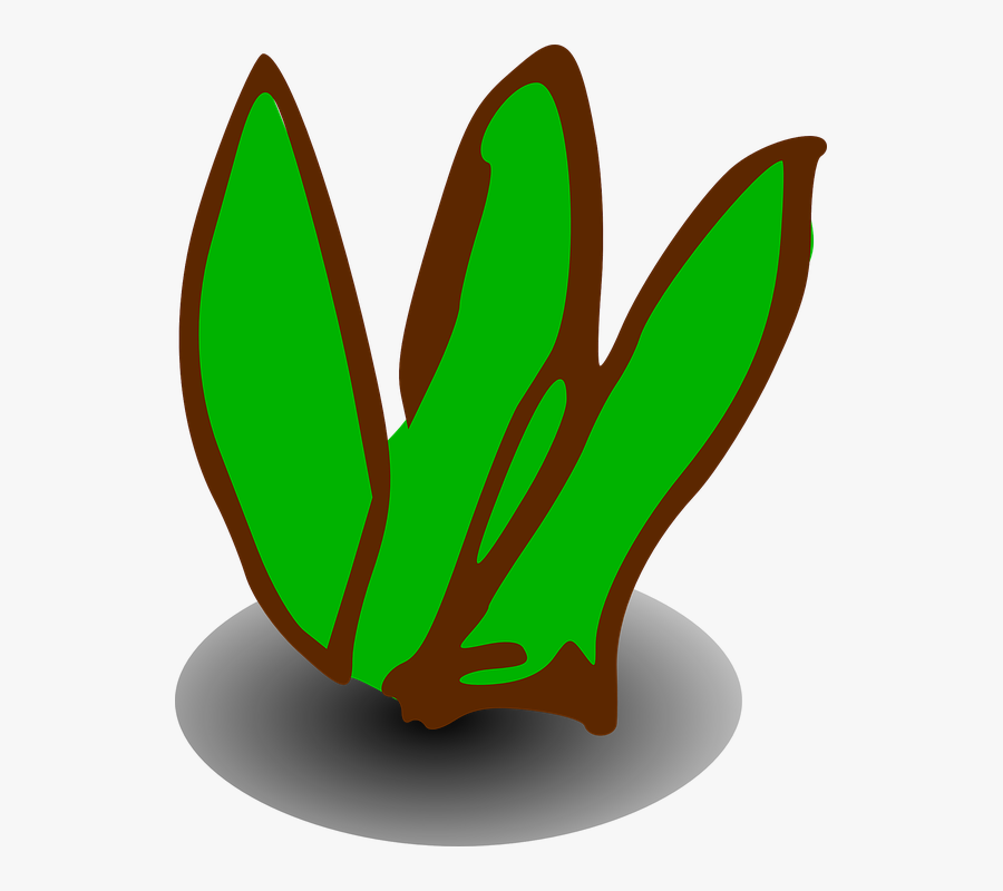 Burning Bush Clipart At Getdrawings - Clipart Small Bush Transparent, Transparent Clipart