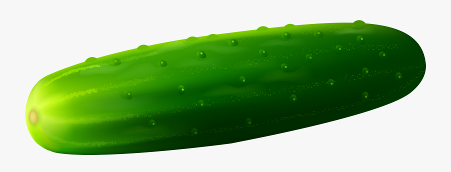 Cucumber Png Clipart - Cucamber, Transparent Clipart