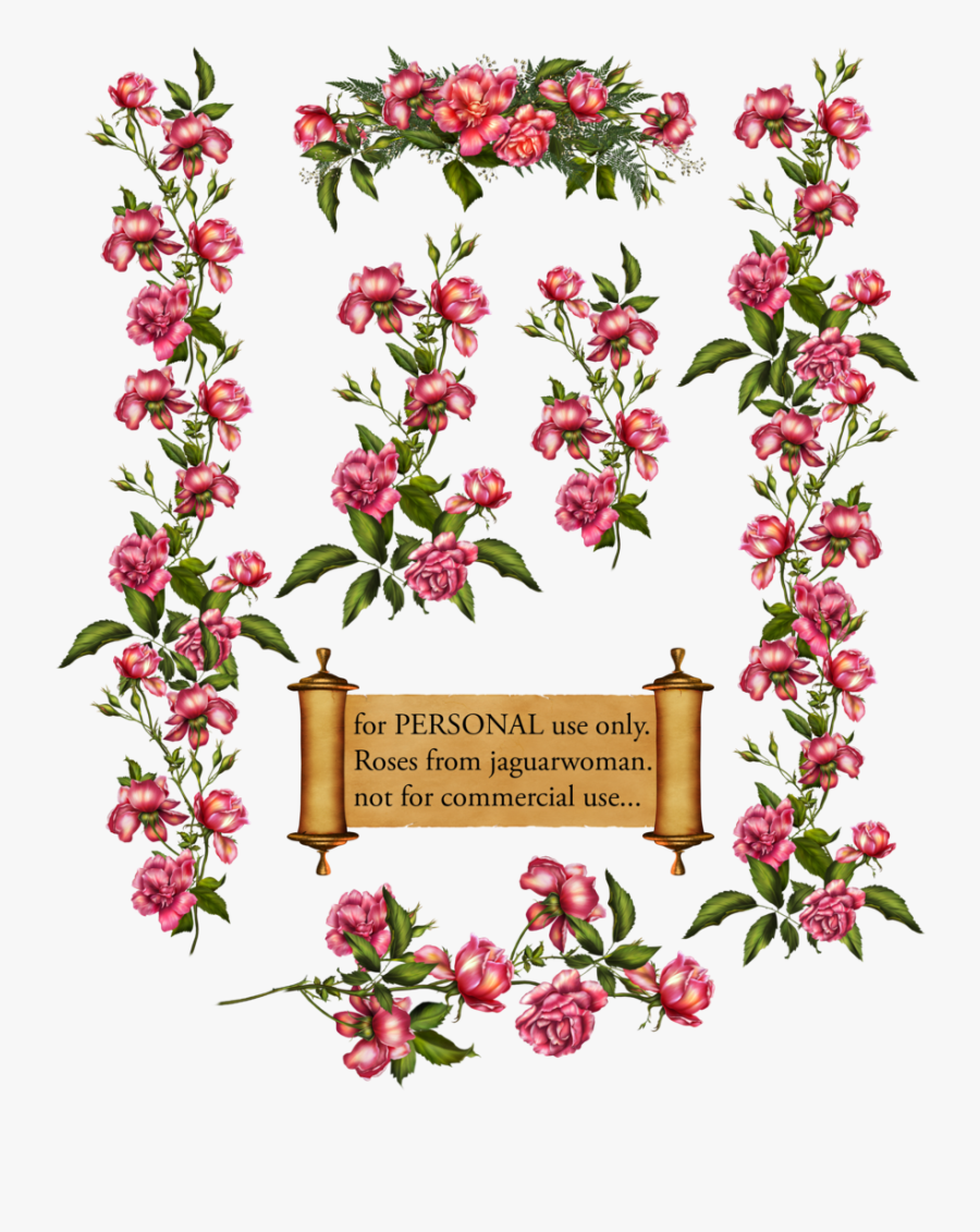 Rose Bush Clipart Rose Vines - Climbing Rose Clip Art, Transparent Clipart