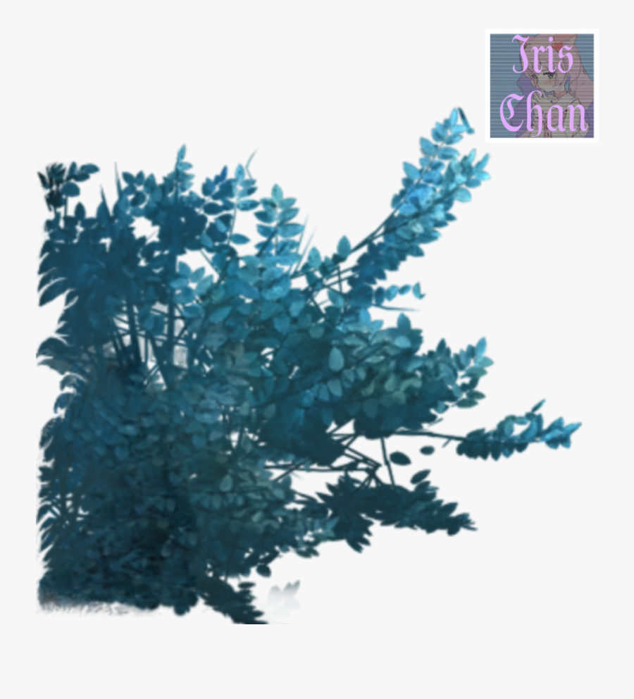 #clipart #blue #klipart #клипарт #куст #синий #голубой - Larch, Transparent Clipart