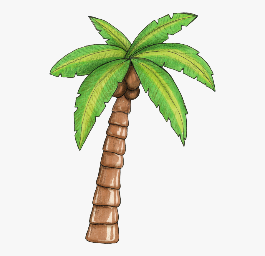 Clip Art Pe De Coqueiro - Moana Palm Tree, Transparent Clipart