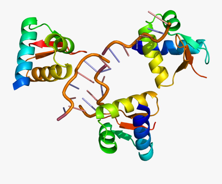 Gene Splicing - Protein Structure No Background, Transparent Clipart