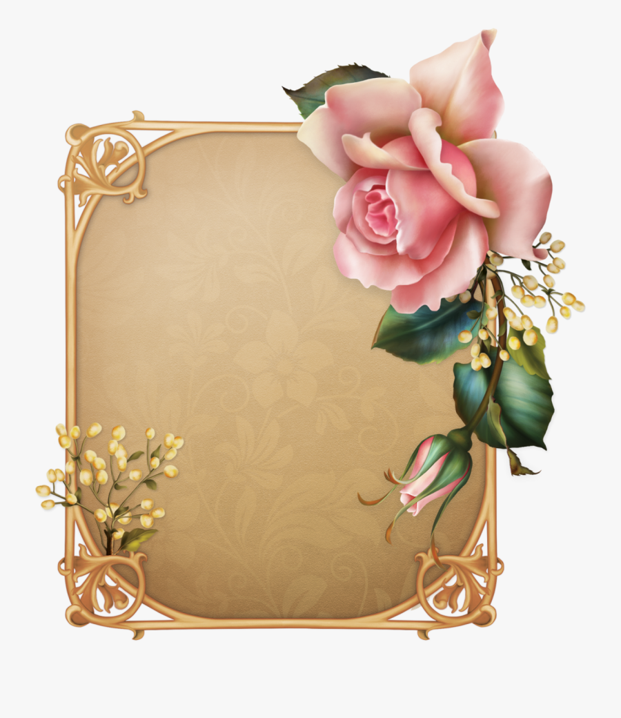 Garden Roses, Transparent Clipart