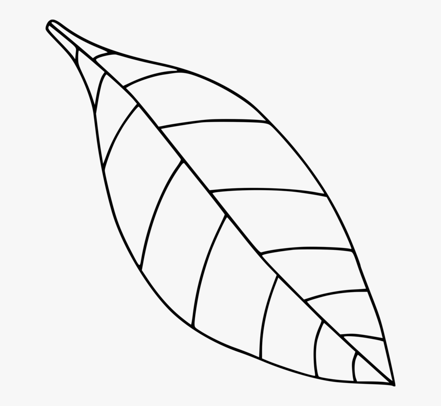 Computer Icons Drawing Black And White Leaf Coloring- - Clip Art Leaves Black And White, Transparent Clipart