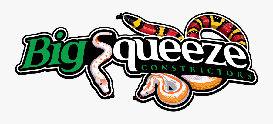 Graphic Design, Transparent Clipart