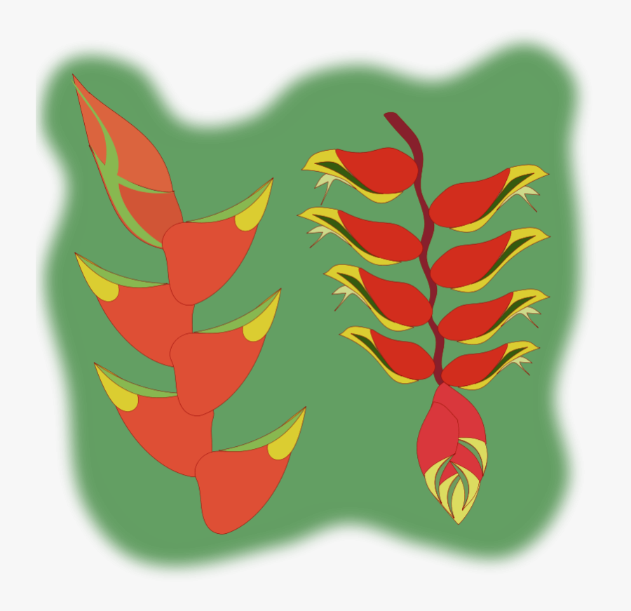 Heliconia Svg, Transparent Clipart