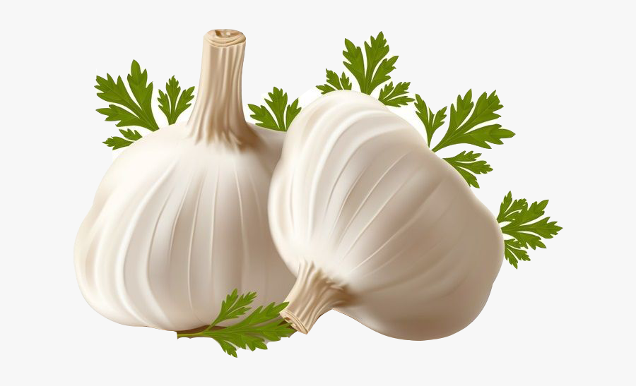 Garlic Bread Allicin Clip Art - Transparent Background Garlic Transparent, Transparent Clipart