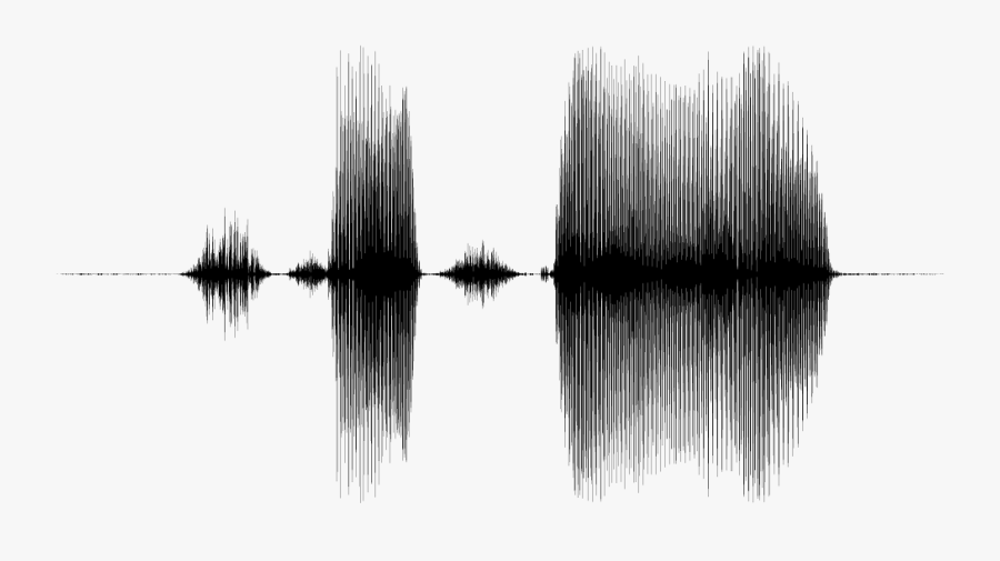 Draw Audio Brontolabs Waveformpng - Reflection, Transparent Clipart