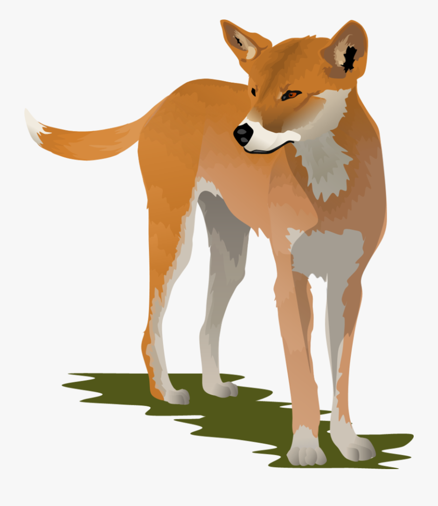 Browse Art - Dingo Clipart, Transparent Clipart