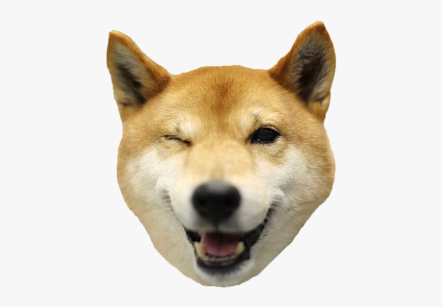 Dingo - Shiba Inu Thank You, Transparent Clipart