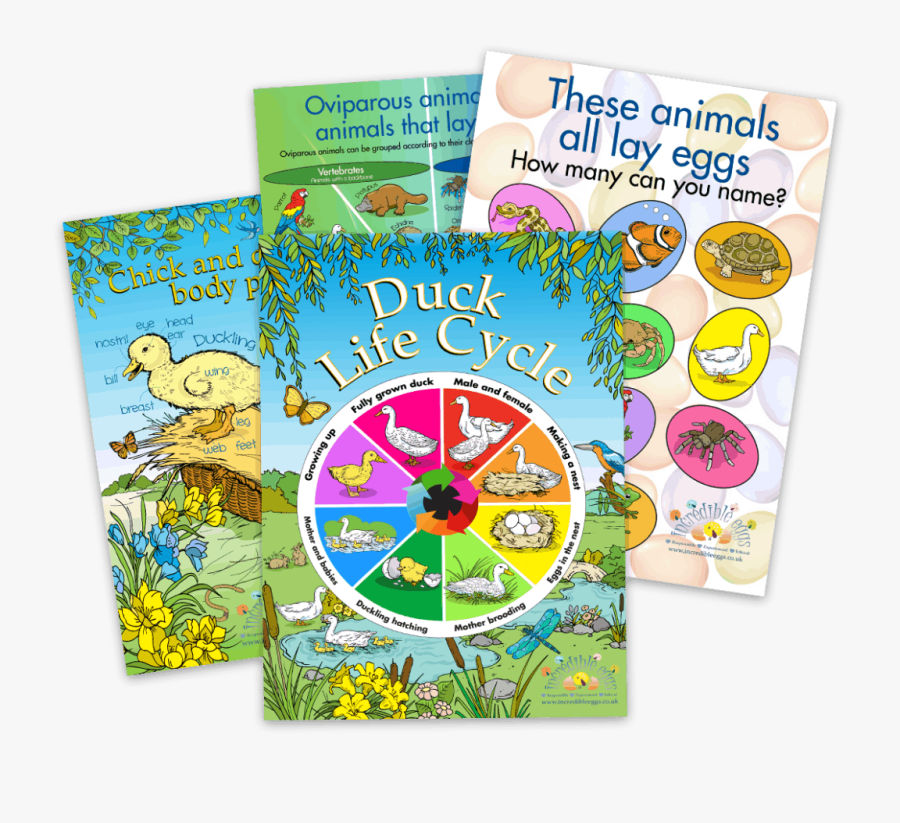 Clip Art, Transparent Clipart