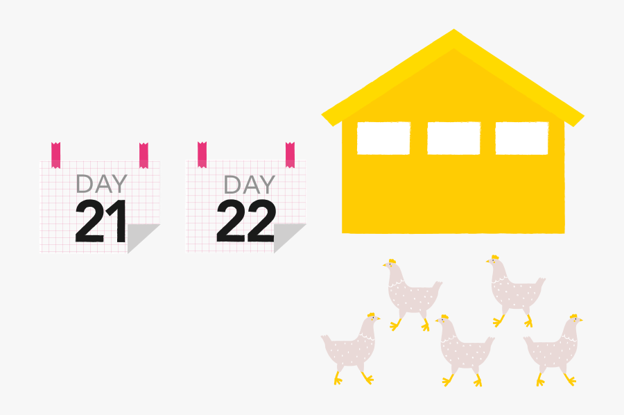 Clip Art, Transparent Clipart