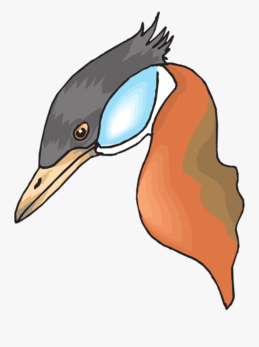 Head, Bird, Duck, Long, Beak, Necked, Feathers, Neck - Cabeça De Pato Png, Transparent Clipart