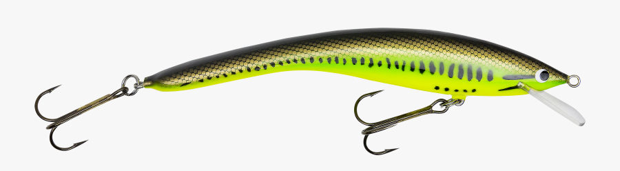 Full Size Of Rare Big Fish Bait Co Pictures Ideas Bagley - Animal, Transparent Clipart