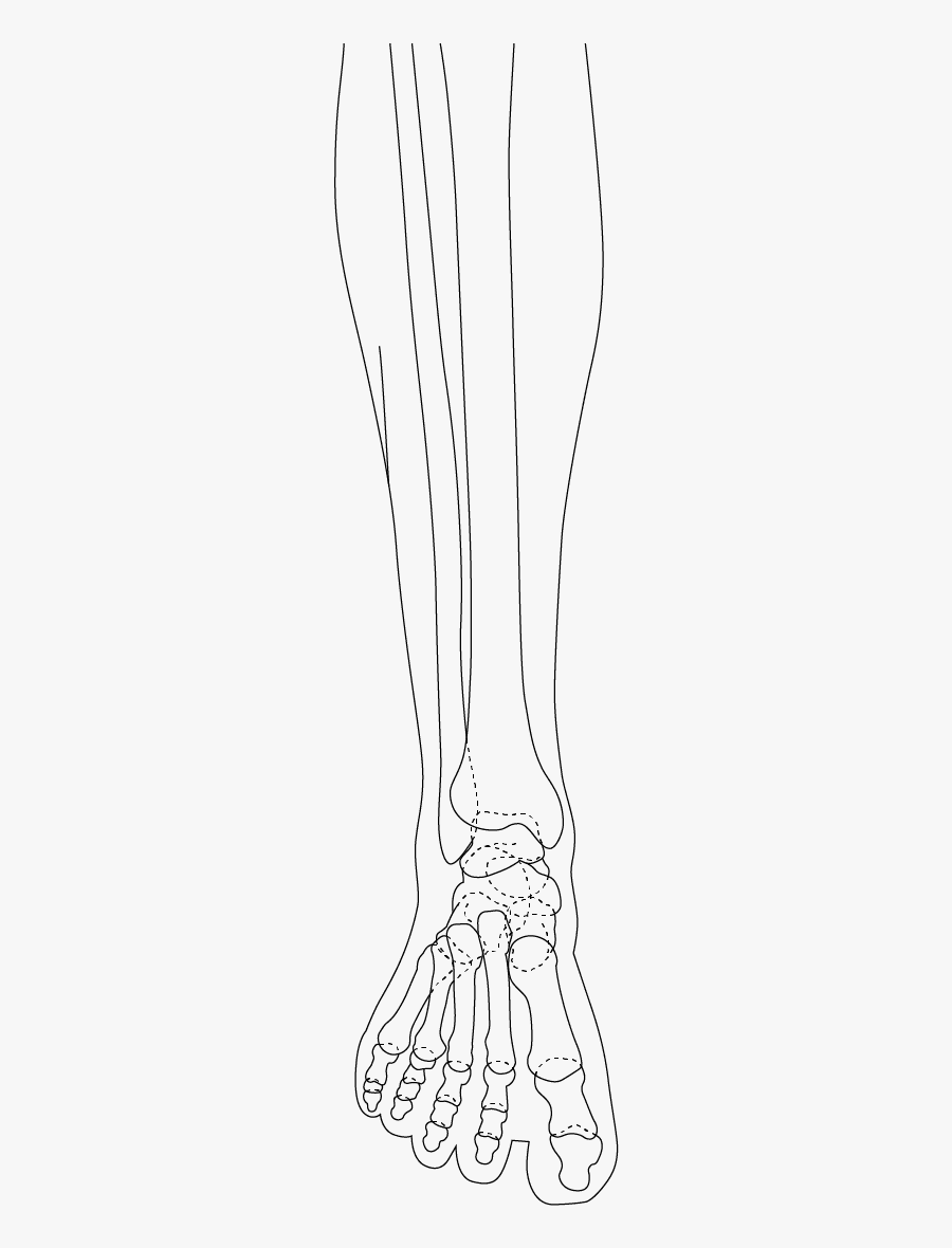 Body Parts Foot Upswing - Line Art, Transparent Clipart