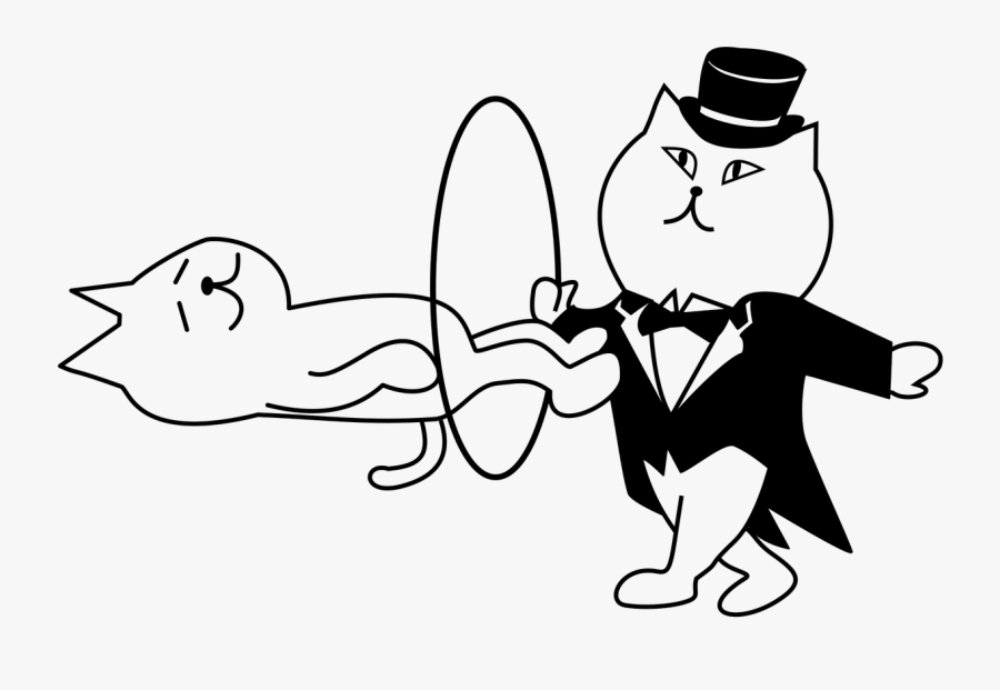 Gato Mago Para Pintar, Transparent Clipart