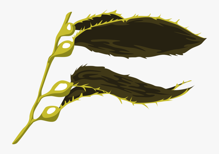 Picture - Illustration, Transparent Clipart