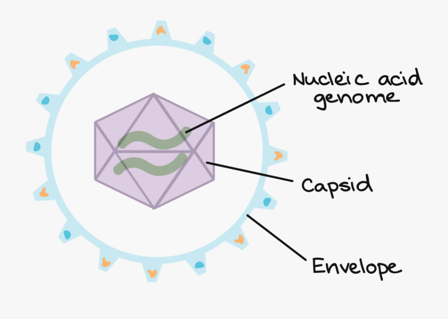 Palco Tipo Pink Floyd, Transparent Clipart