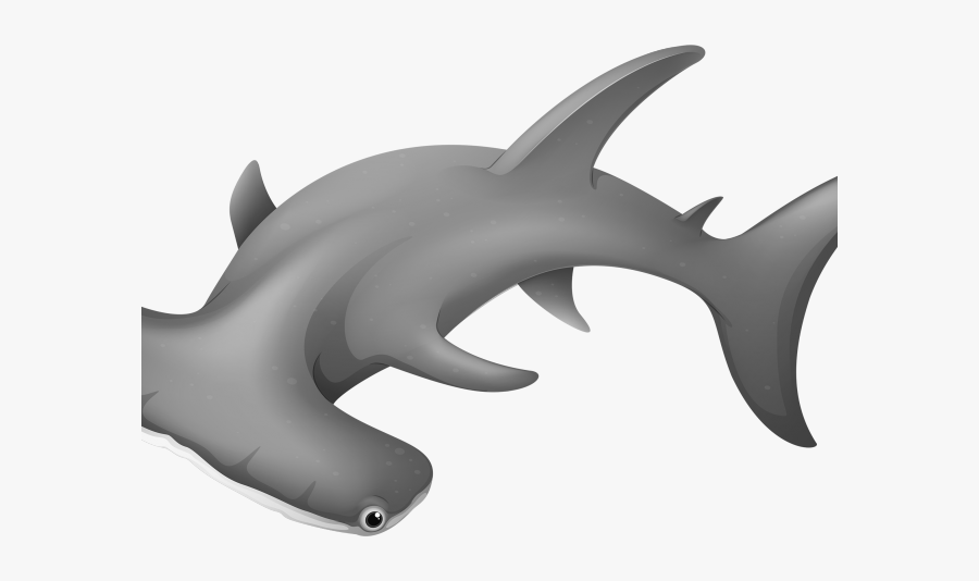 Free Shark Clipart - Hammerhead Shark Clipart Transparent, Transparent Clipart