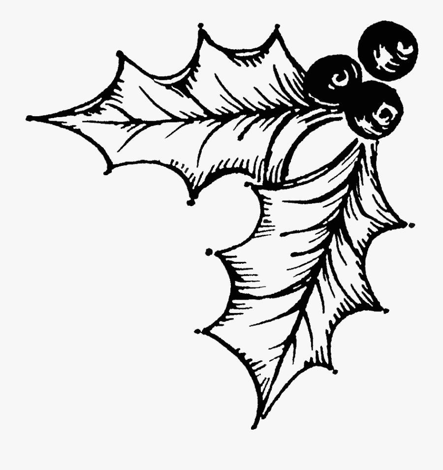 Transparent Holly Illustration - Holly Illustration Png, Transparent Clipart