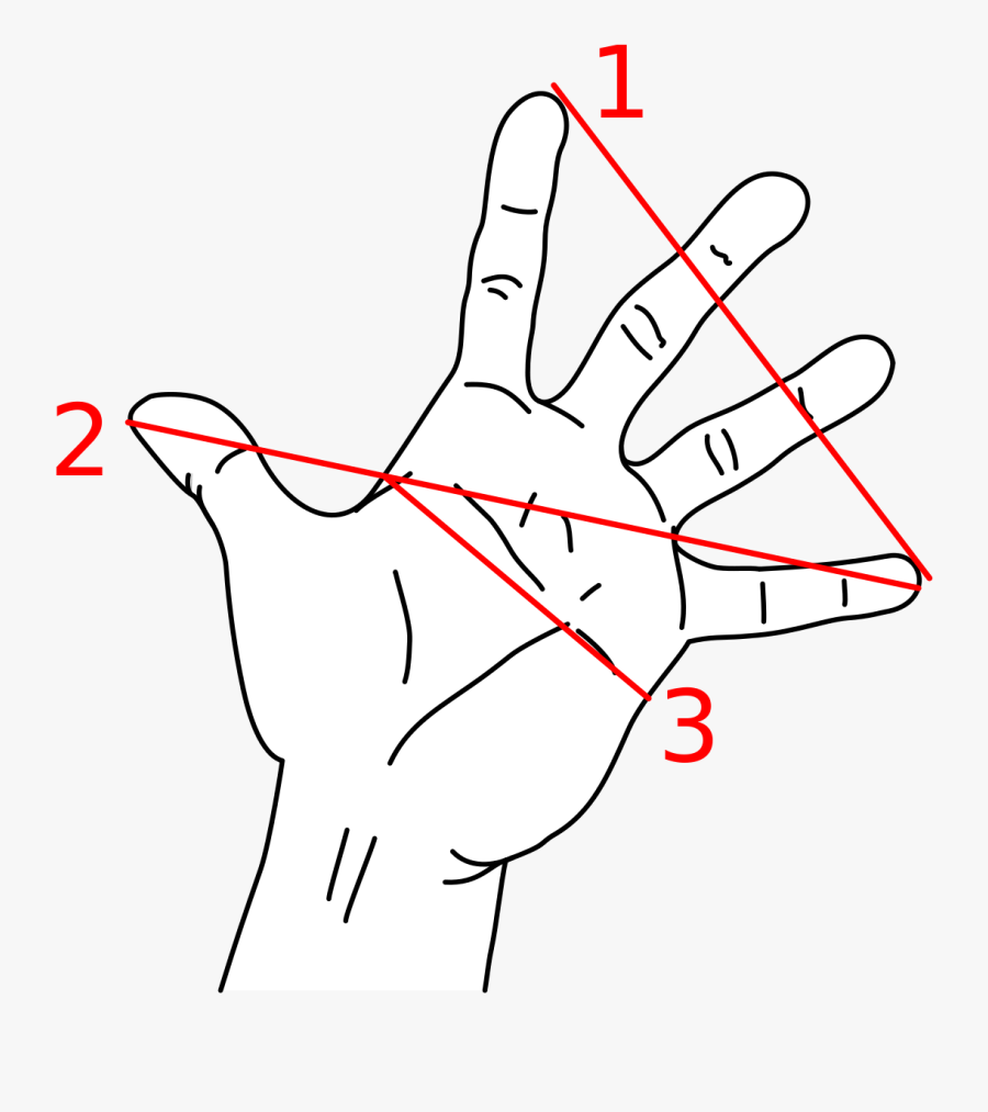 Hand Palm Png -hand, Hd Png Download - Hand, Transparent Clipart