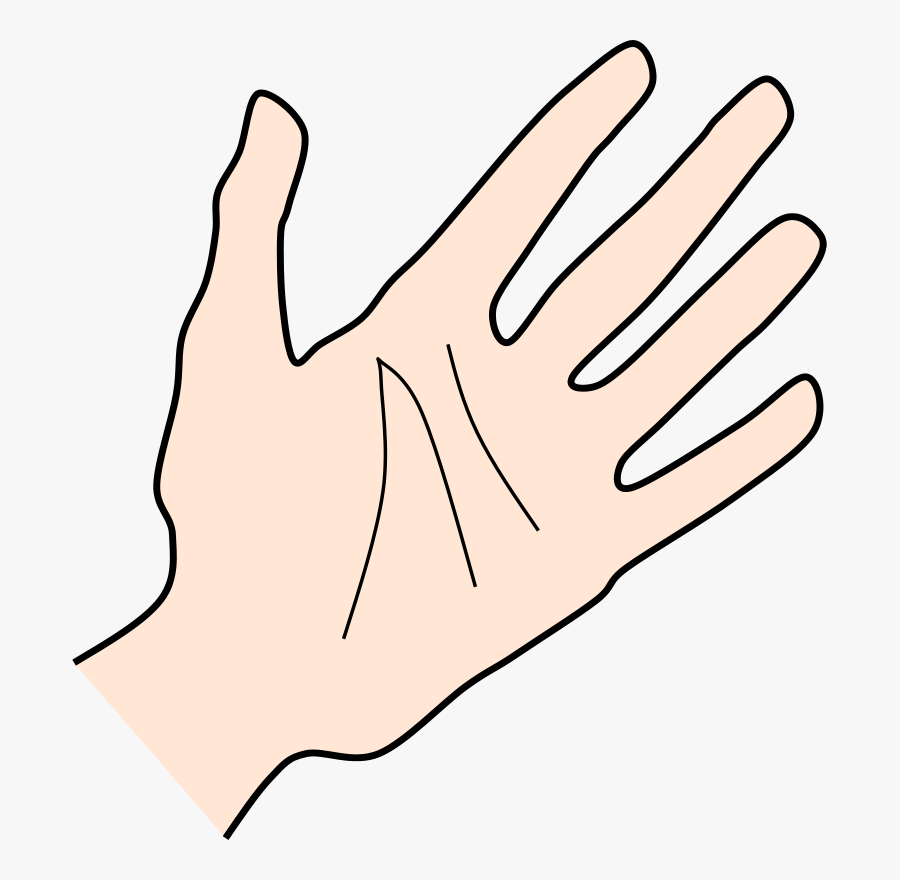 Palm By Rones - Clip Art, Transparent Clipart