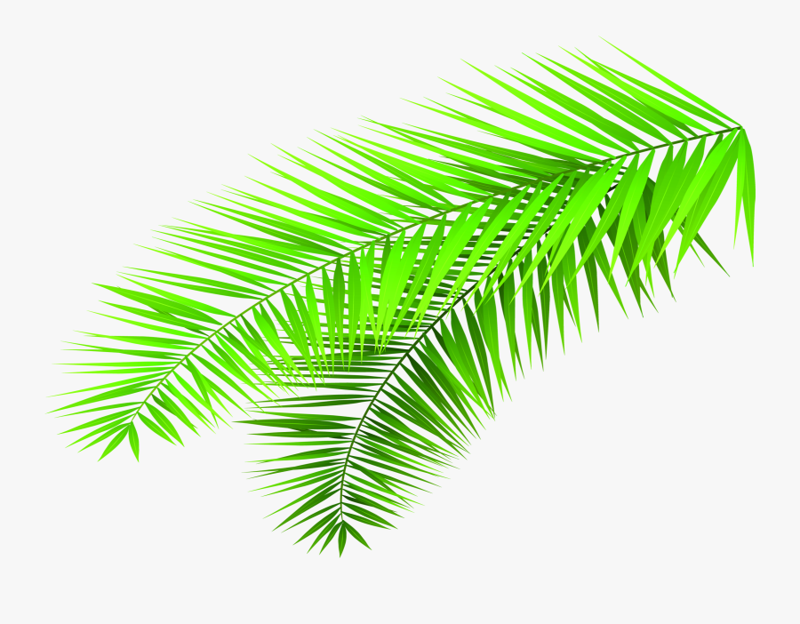 Creative Clipart Hand Palm - Leaf, Transparent Clipart